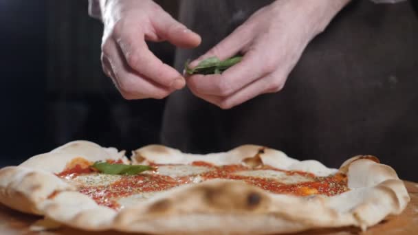 Готовить традиционную вегетарианскую пиццу в итальянской пиццерии. Добавление листьев базилика на пиццу. Крупный план вкусной пиццы. Видео с медленным движением еды. Повар подает блюдо. Полный список — стоковое видео