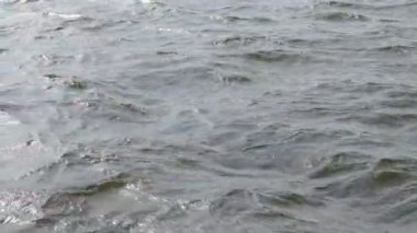 Yakınlardan geçen gemiden gelen nehir dalgaları. Peyzaj, doğa konsepti. Sıçrıyor. 4 k video