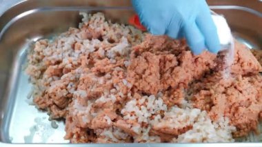 Yemek çubuğu ya da ravioli için yemek. Kıymalı balık tuzla dolduruluyor. Modern gıda imalatı. Pelmeni, tortellini, et cepleri, geleneksel olarak pişirilmiş Rus mantısı.