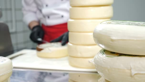 Un montón de cabezas de queso sulguni en la mesa. Chef en guantes negros desempacando queso fresco poniendo en pila. Cocinar comida con relleno de queso suluguni. concepto de fabricación de alimentos. Comida experta en guantes 4 k — Vídeos de Stock