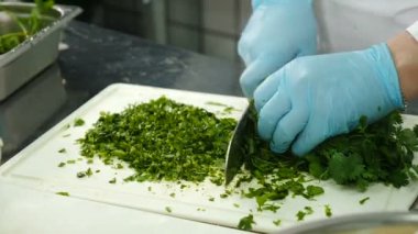 Eldivenli şef kesim tahtasında yeşillik kesiyor. Düzgün beslenme ve sağIık. Yeşillikleri vejetaryene hazırla ve doğra. Yiyecek endüstrisi. Yeşil Herb Yaprakları, maydanoz, fasulye. Taze soğan. 4 bin.