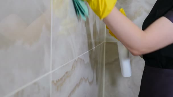 Temizlik konsepti. Paçavraya sprey veya deterjan solüsyonu sıkın ve duvarı silin. Önlük temizleyicisi, eldivenlerle yüzey silme, ıslak bez, sprey temizleyici, temizlik banyosu. temizlik — Stok video