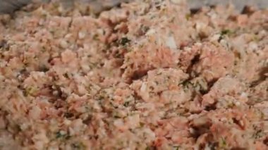 Yemek hazırlama konsepti. Modern gıda imalatı. Şef, elle kıyma veya eti aromatik baharatlarla karıştırıyor. Makarna yapma süreci. Sosis, tortellini veya ravioli. 4 k video