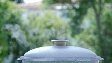 Food steamer with healthy inside. Cooking food on steam. Water steam drops. food steamer for cooking with heating temperature. Steam rising up on trees background. . Dietary healthful cutlets. 4 k