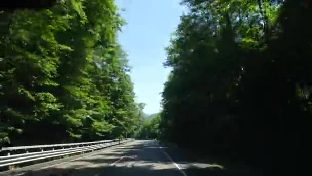 Pov przedniej szyby samochodu jazdy po drodze kraju throguh piękny las sosnowy i góry w tle. Piękny, kolorowy letni krajobraz. Strzał w samochód. Koncepcja podróży. 4k wideo — Wideo stockowe