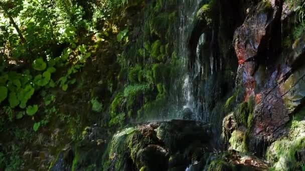 Malý vodopád mezi stromy a skalnatými útesy v národním parku v jižním Rusku. Horský vodopád bije v malých potůčcích kolem obrovských kamenů pokrytých mechem. Video 4k — Stock video