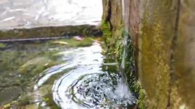 Peyzaj tasarımı. Gölet, küçük dere, çeşme, şehir parkında şelale. Suyu akan küçük bir bahçe şelalesi. 4 k video