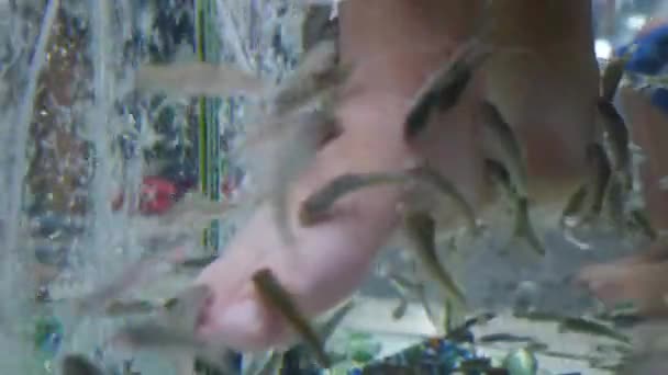 Widok z boku na męskie stopy w wodzie z rybami. Pedicure rybny Garra Rufa. Pielęgnacja stóp z naturalnym peelingu i masażu. Zabieg spa. 4 tys. wideo — Wideo stockowe