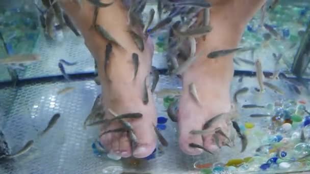 Blick von oben auf männliche Füße im Wasser mit Fischen. Fischpediküre von garra rufa. Fußpflege mit natürlichem Peeling und Massage. Hautpflege-Wellness-Verfahren. 4 k video — Stockvideo