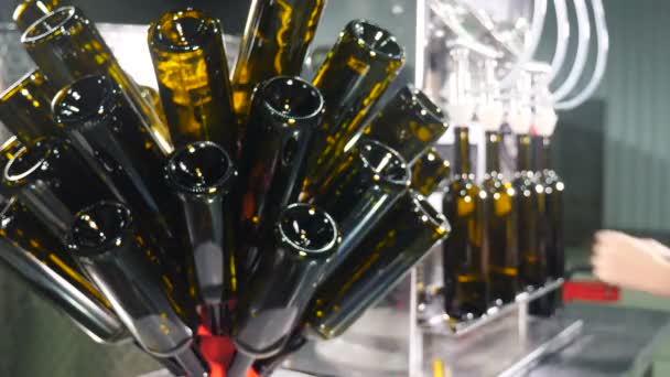 Διαδικασία παραγωγής αλκοολούχων ποτών. Εργοστάσιο παραγωγής κρασιού. Λευκή γραμμή παραγωγής εμφιάλωσης κρασιού στο οινοποιείο. Οι γυάλινες φιάλες γεμίζονται με κρασί πριν από την επισήμανση. . 4 k βίντεο — Αρχείο Βίντεο