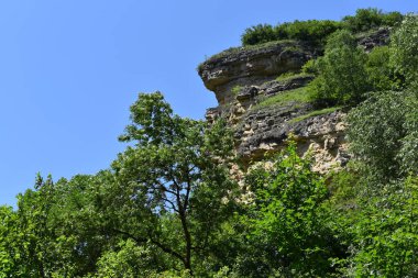 Yazın güzel Kafkasya dağları Çok fazla yeşillik var