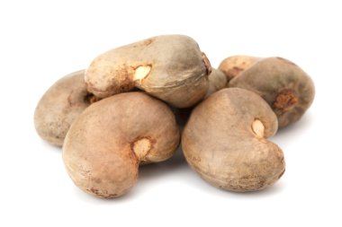 Brezilyalı Caju tohum veya kaju tohum