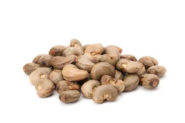 Brazilian Caju seed or Cashew seed — Stock Photo, Image