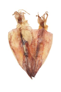 kurutulmuş kalamar ve mürekkep balığı