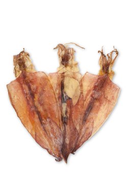 kurutulmuş kalamar ve mürekkep balığı