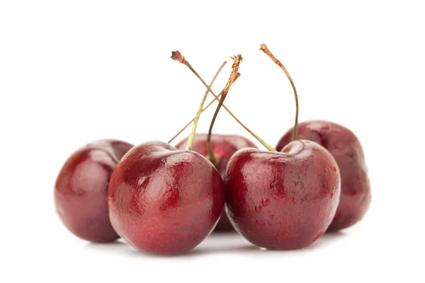 Red cherry in bowl — Stock Photo, Image