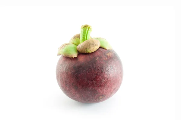 Pojedynczy mangostan — Zdjęcie stockowe