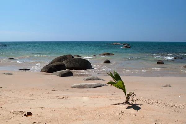 Playa del sur del mar tailandés —  Fotos de Stock