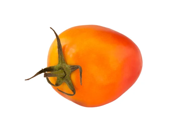 Tomato — Stock Photo, Image