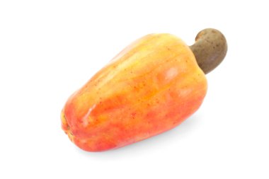 Brezilyalı caju kaju meyve