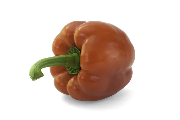 Röd paprika — Stockfoto