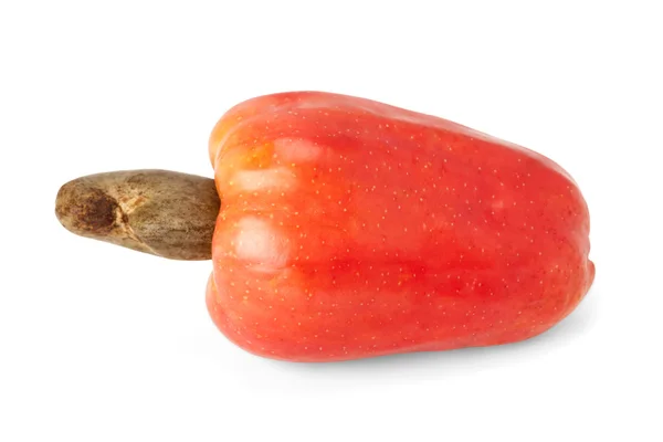 Brazilian Caju Cashew Fruit — Stock Photo, Image