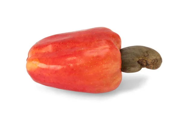 Brezilyalı caju kaju meyve