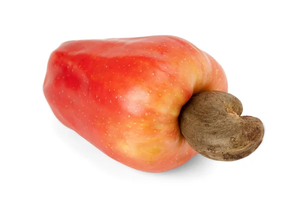 Braziliaanse caju cashew vruchten — Stockfoto