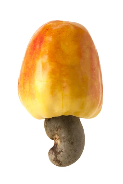 Brazilian Caju Cashew Fruit — Stock Photo, Image
