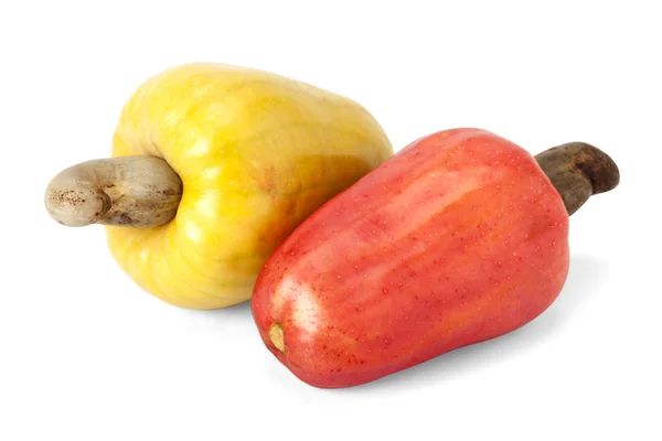 Brazilian Caju Cashew Fruit — Stock Photo, Image