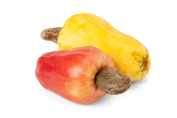 Brazilian Caju Cashew Fruit — Stock Photo, Image