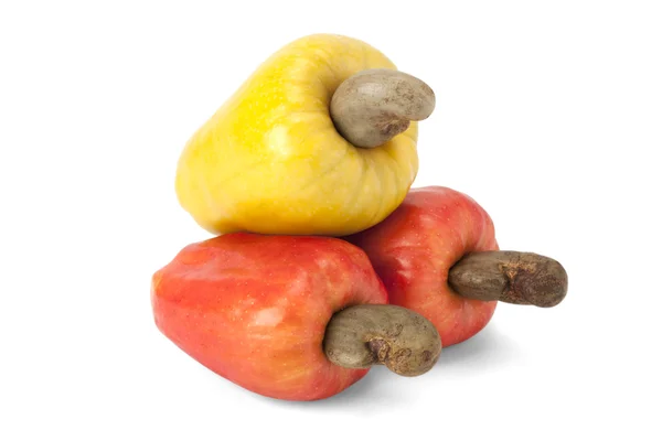 Brazilian Caju Cashew Fruit — Stock Photo, Image