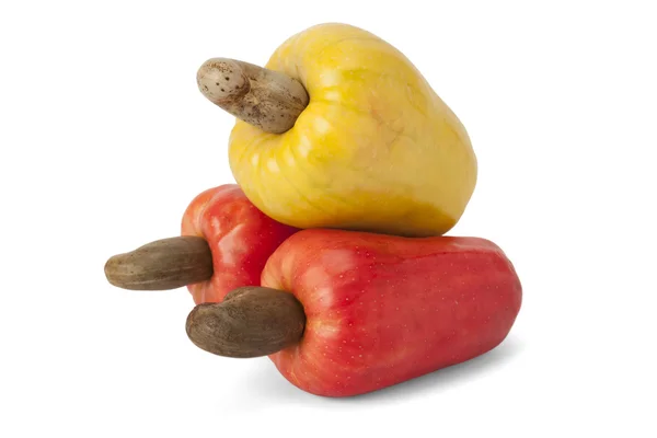 Cajú brasileño anacardo Fruta — Foto de Stock