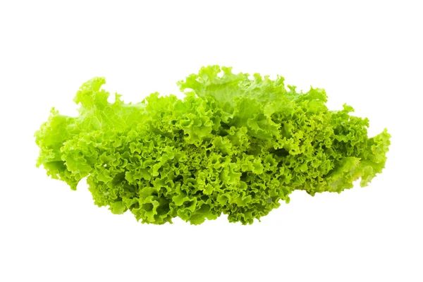 Zelený ledový salát salát listy — Stock fotografie
