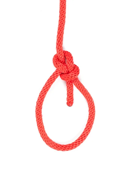 Boowline knot — Stock Photo, Image