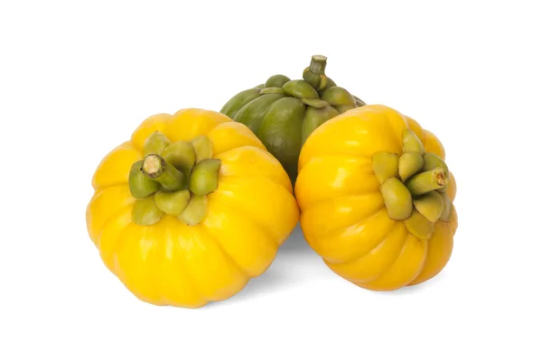 Garcinia Cambogia — Stock Photo, Image