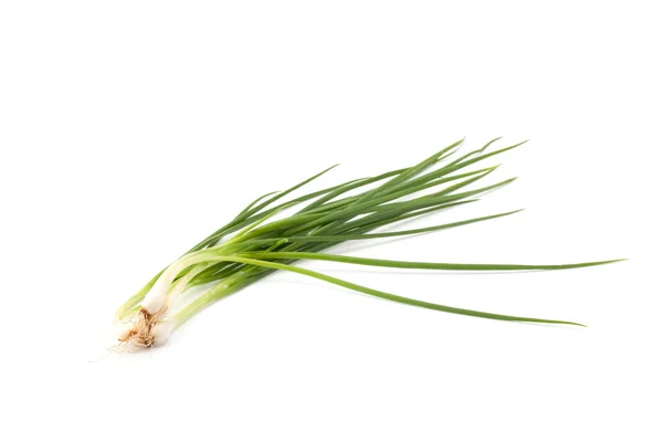 Spring onion isolated — Stock Photo, Image
