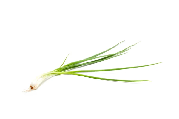 Spring onion isolated — Stock Photo, Image