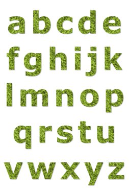 Yeşil liken alt mektubu