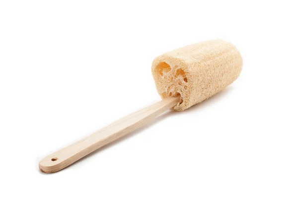 Loofah — Stockfoto