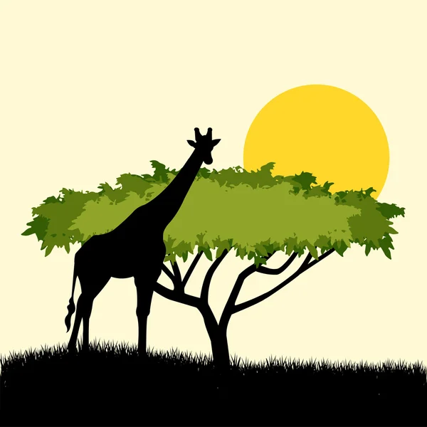 Diseño del concepto de árbol de acacia y silueta de jirafa. ilustración del tema de safari africano con jirafa y acacia — Vector de stock