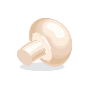 Bozulmuş, champignon mantar, renkli vektör düz çizim