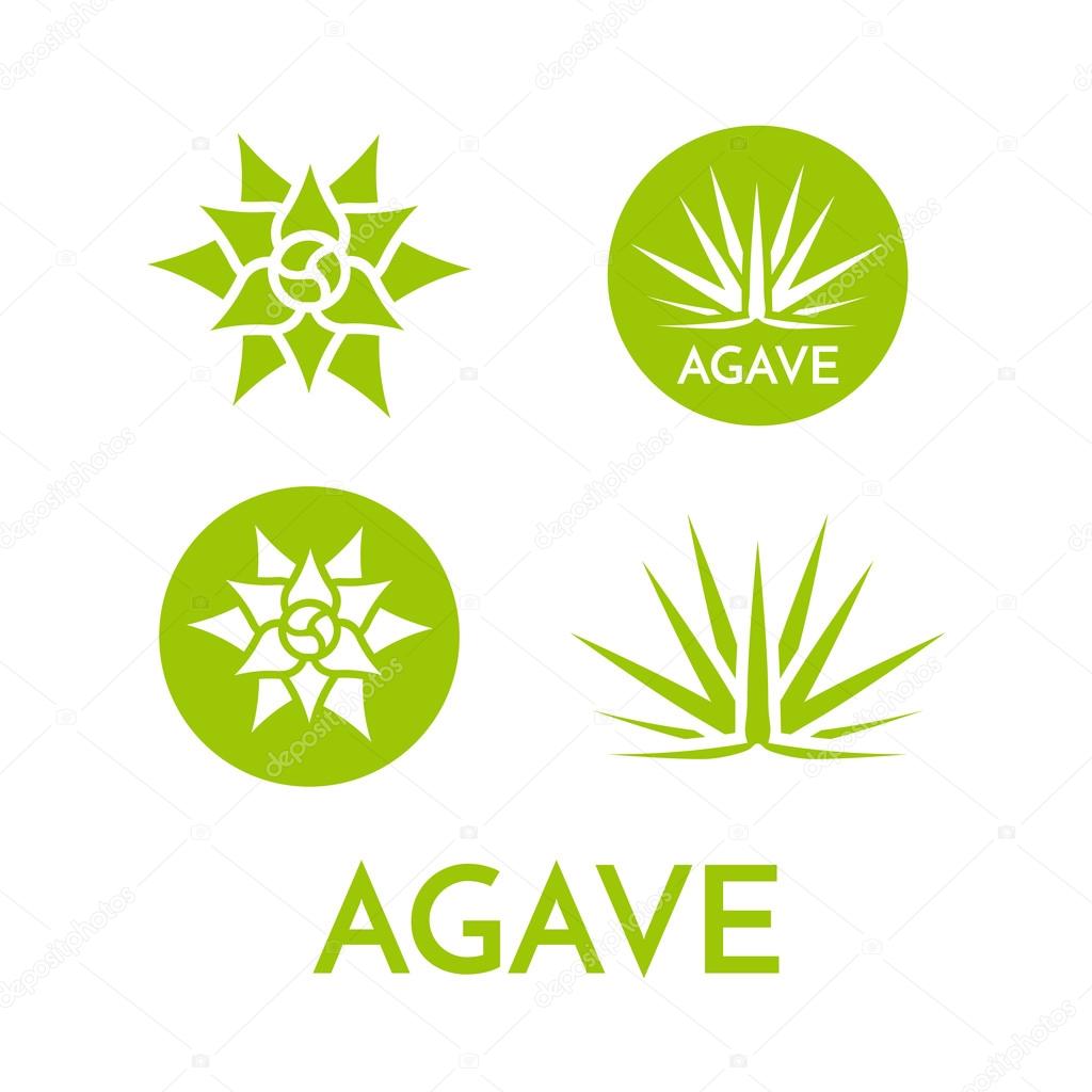 Agave plant green flower logo colorful vector illustration, symbol set