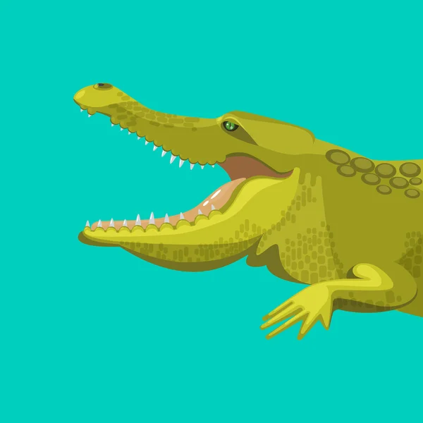 Peligroso cocodrilo verde está mostrando sus dientes — Vector de stock