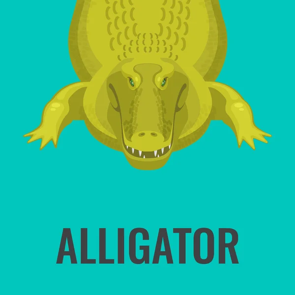 Vaarallinen vihreä alligaattori odottaa lounasta. — vektorikuva