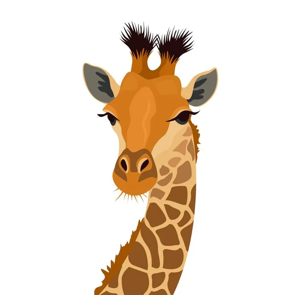 Tête de girafe isolée sur blanc. Portrait de mammifère animal africain. Illustration vectorielle — Image vectorielle