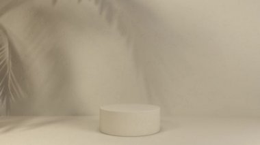 Duvarda gölgesi olan küçük bir arka plan. Ürün ve kozmetik sunumu için fon. 3d hazırlayıcı