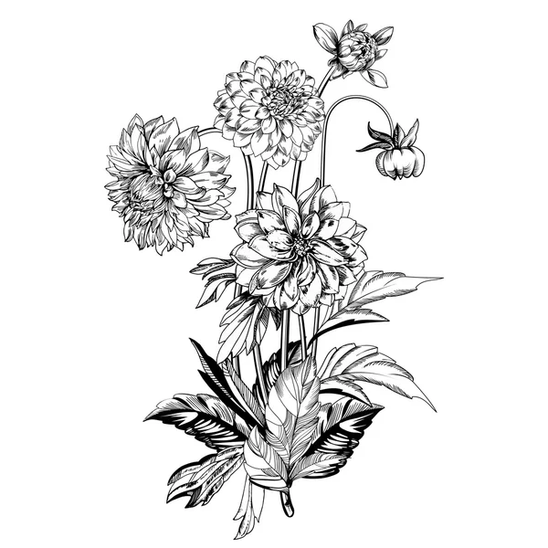 Fiori eleganti vintage. Illustrazione vettoriale in bianco e nero. Fiori di dalia. Botanica . — Vettoriale Stock