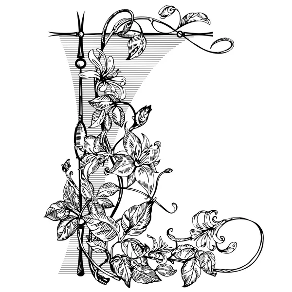 Fiori eleganti vintage. Illustrazione vettoriale in bianco e nero. Fiore caprifoglio. Botanica . — Vettoriale Stock