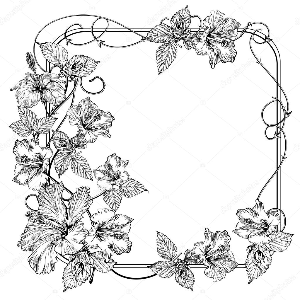 Clematis flower. Vintage elegant flowers. Black and white vector illustration. Botany. Vector